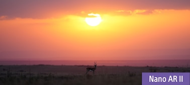 Image d’illustration montrant une vue de plaines au coucher du soleil