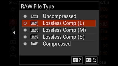 Image du produit montrant le menu de sélection des images RAW sur l’écran ACL