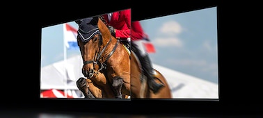 Dual screens showing a horse and rider in a showjumping event with smoother motion on left screen due to 120Hz panel