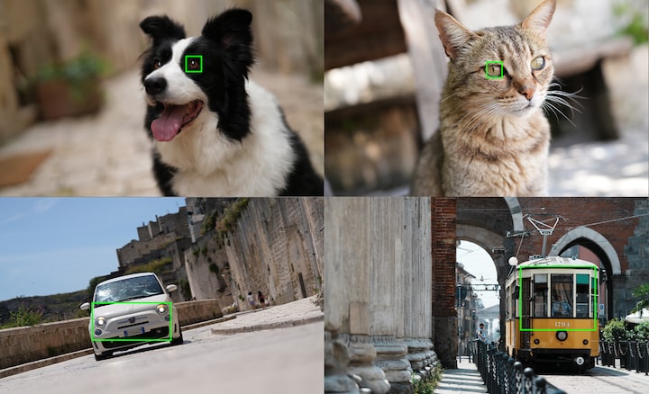 Images d’exemple des sujets reconnaissables par IA de l’appareil : chien, chat, voiture, train