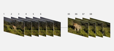 Image de Caméra plein cadre α7R IV 35 mm à résolution de 61,0 mégapixels