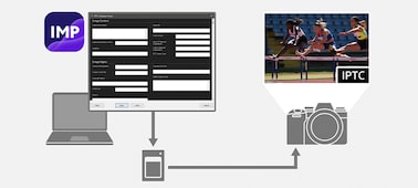 Illustration du flux de travail des métadonnées IPTC