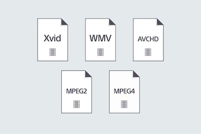 Video format playback