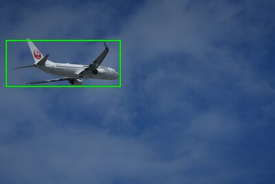 Example image showing subject type (air plane) recognizable by the camera’s AI