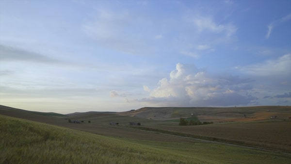 Image d’exemple montrant une capture d’image vidéo d’un paysage de prairie