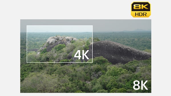 Illustration d’une image suréchantillonnée de 8K à 4K sans recadrage