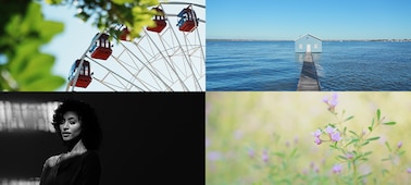 4 exemples de photos avec Rendu créatif : grande roue, hangar à bateaux, portrait d’une femme, macro de fleurs sauvages