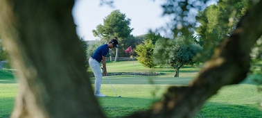 Image d’illustration d’un joueur de golf mis au point avec un tronc d’arbre défocalisé au premier plan